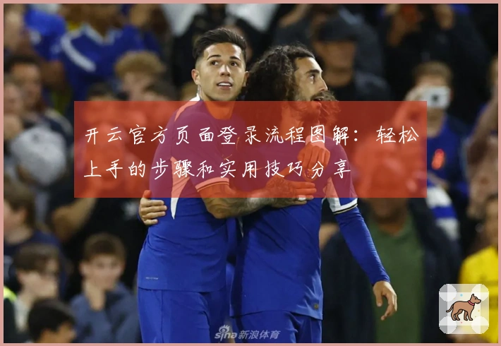 开云官方页面登录流程图解：轻松上手的步骤和实用技巧分享
